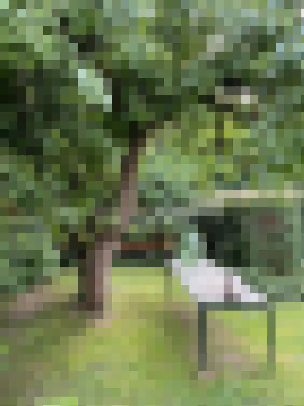 Ooijse Bandijk 1 Ooij thumbnail 25
