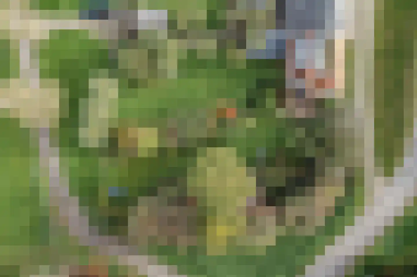 Ooijse Bandijk 1 Ooij thumbnail 30