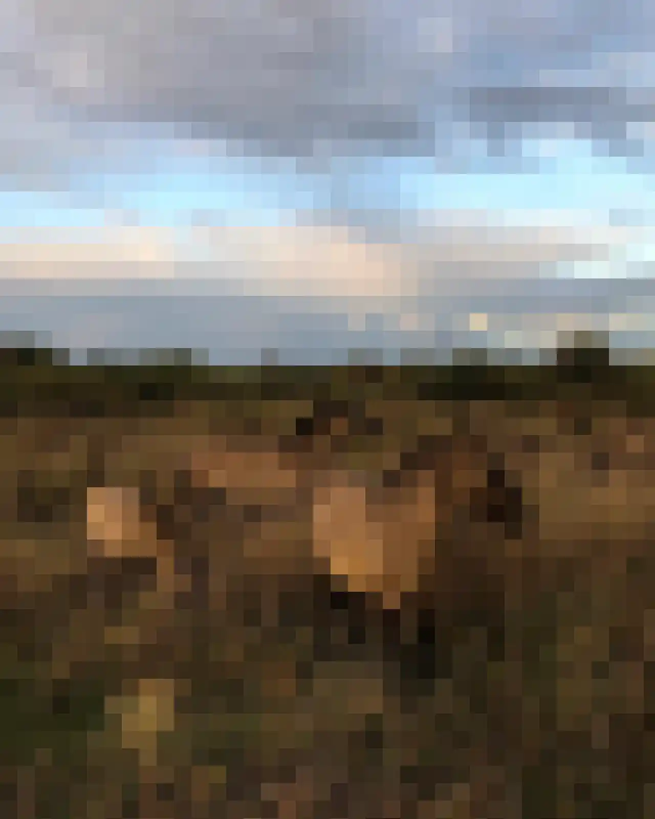 Ooijse Bandijk 1 Ooij thumbnail 32