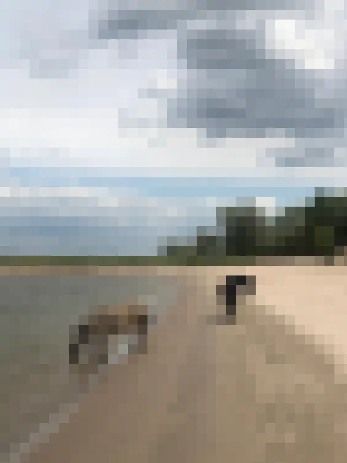 Ooijse Bandijk 1 Ooij thumbnail 33