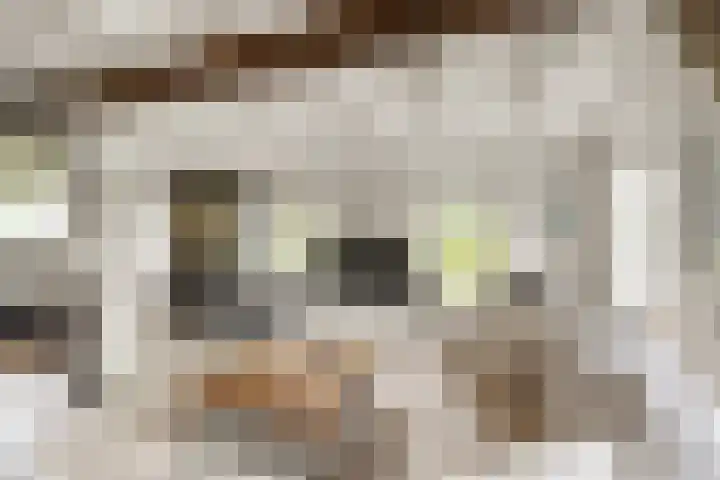 Ooijse Bandijk 9 Ooij thumbnail 10