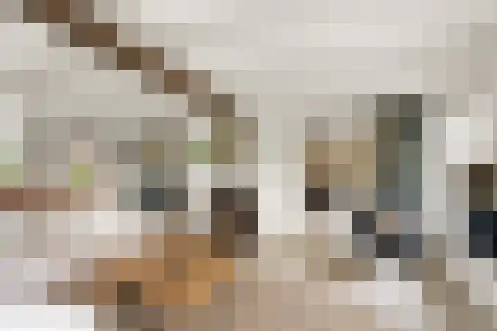 Ooijse Bandijk 9 Ooij thumbnail 11