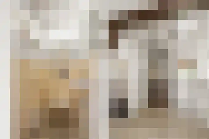 Ooijse Bandijk 9 Ooij thumbnail 16