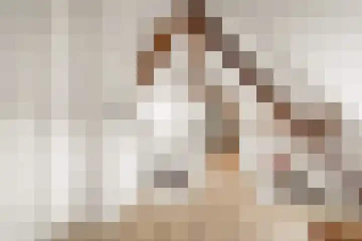 Ooijse Bandijk 9 Ooij thumbnail 17