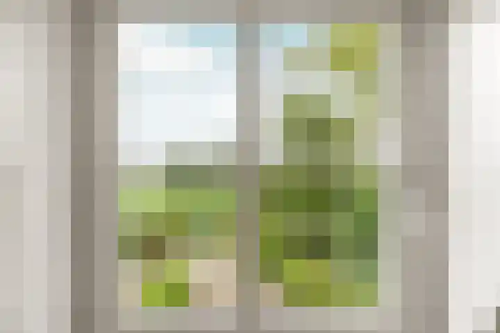 Ooijse Bandijk 9 Ooij thumbnail 20