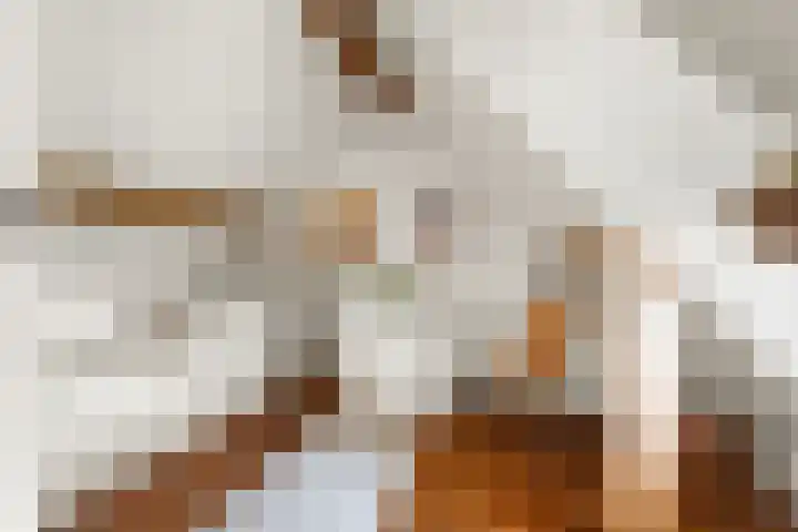 Ooijse Bandijk 9 Ooij thumbnail 24