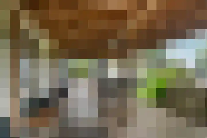 Ooijse Bandijk 9 Ooij thumbnail 25