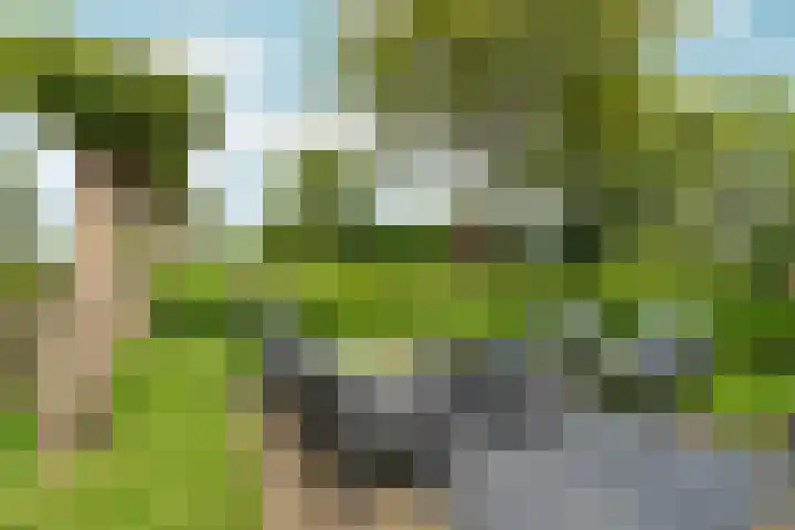 Ooijse Bandijk 9 Ooij thumbnail 26