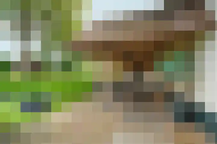 Ooijse Bandijk 9 Ooij thumbnail 27