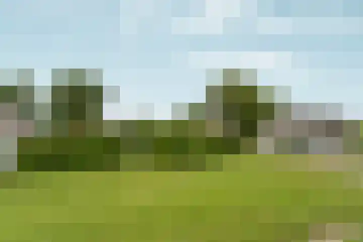Ooijse Bandijk 9 Ooij thumbnail 28
