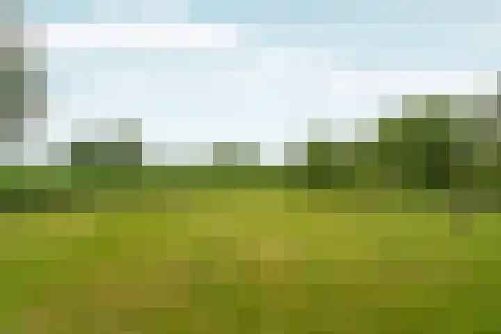 Ooijse Bandijk 9 Ooij thumbnail 30