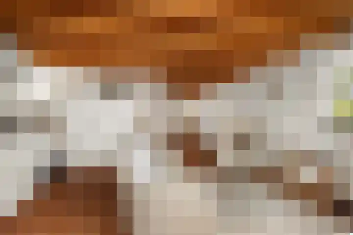 Ooijse Bandijk 9 Ooij thumbnail 32