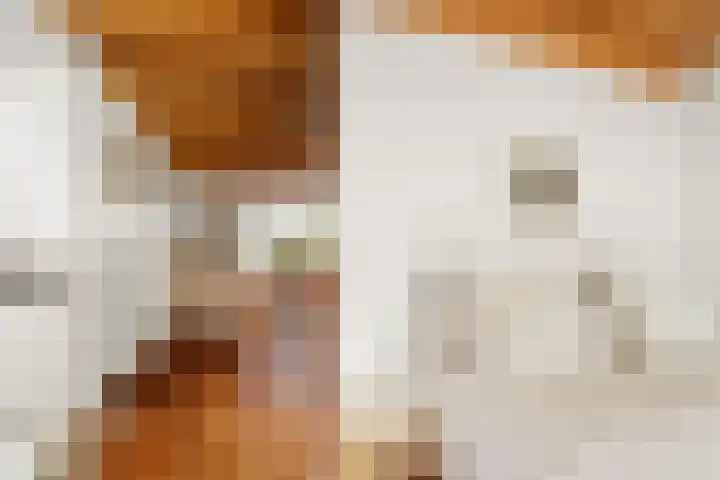 Ooijse Bandijk 9 Ooij thumbnail 34