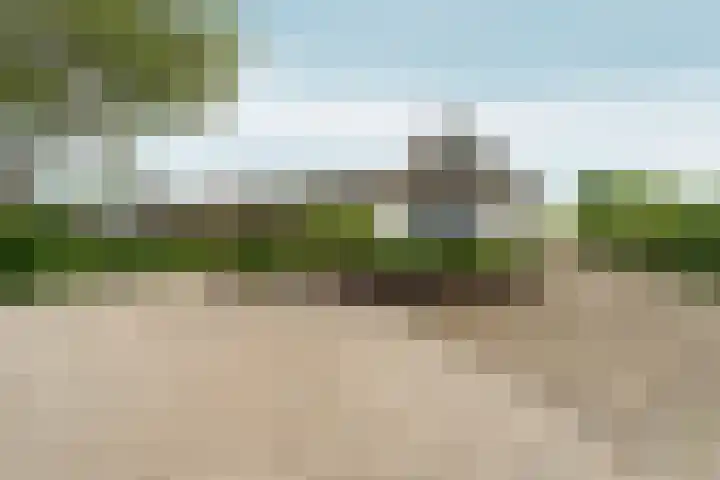 Ooijse Bandijk 9 Ooij thumbnail 37
