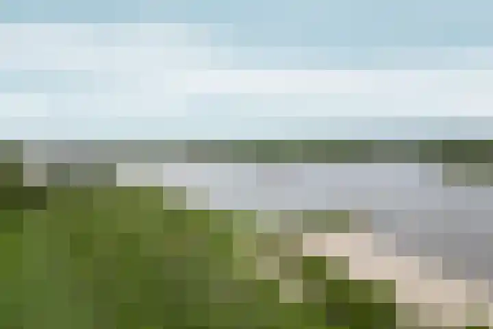 Ooijse Bandijk 9 Ooij thumbnail 39