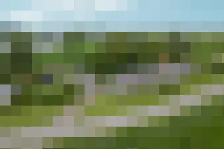 Ooijse Bandijk 9 Ooij thumbnail 42