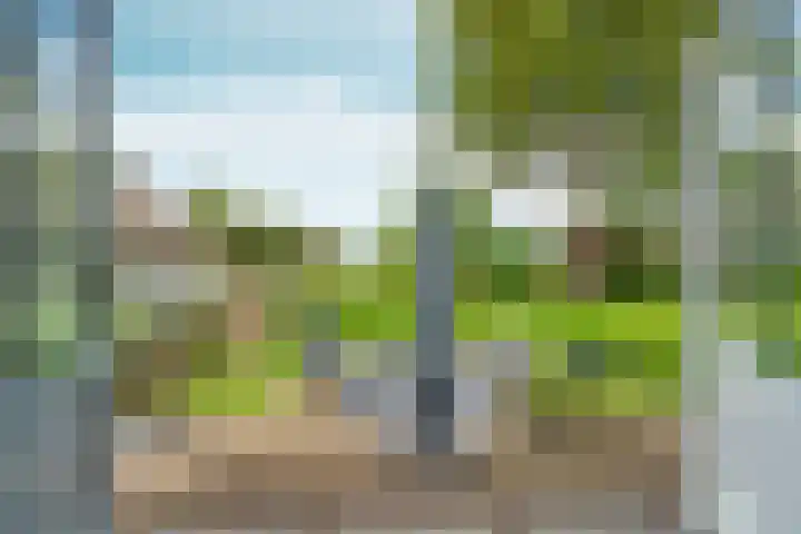 Ooijse Bandijk 9 Ooij thumbnail 5
