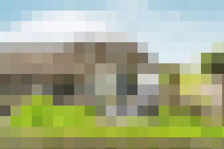 Ooijse Bandijk 9 Ooij thumbnail 6