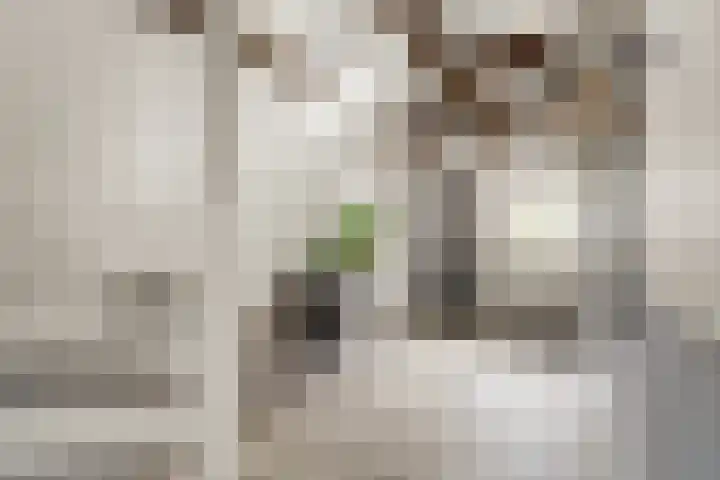 Ooijse Bandijk 9 Ooij thumbnail 9