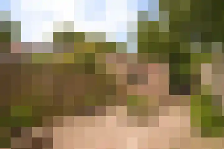 Ooijstraat 6 Tiel thumbnail 17