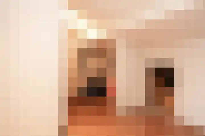 Ooijstraat 6 Tiel thumbnail 31