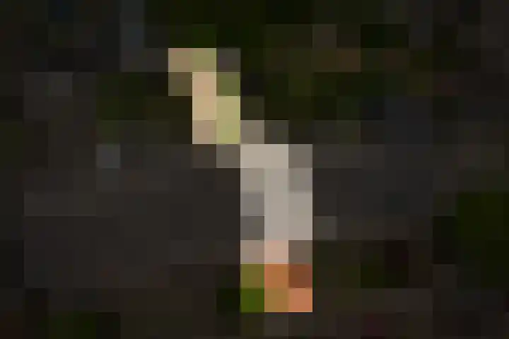 Ooijstraat 6 Tiel thumbnail 32