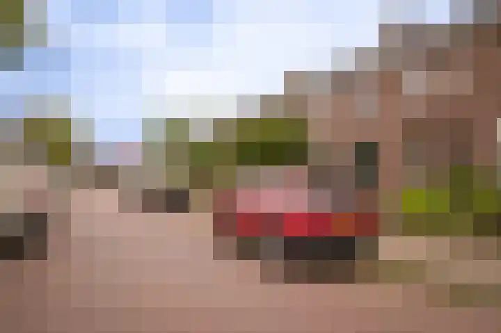Ooijstraat 6 Tiel thumbnail 4