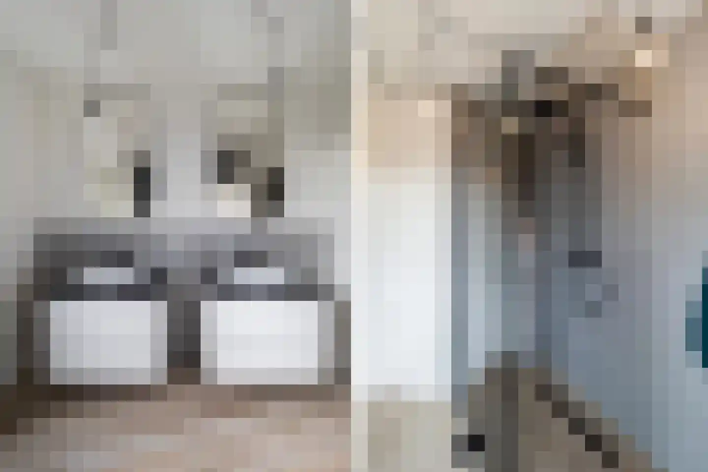 Ooipoort 10 Doesburg thumbnail 11