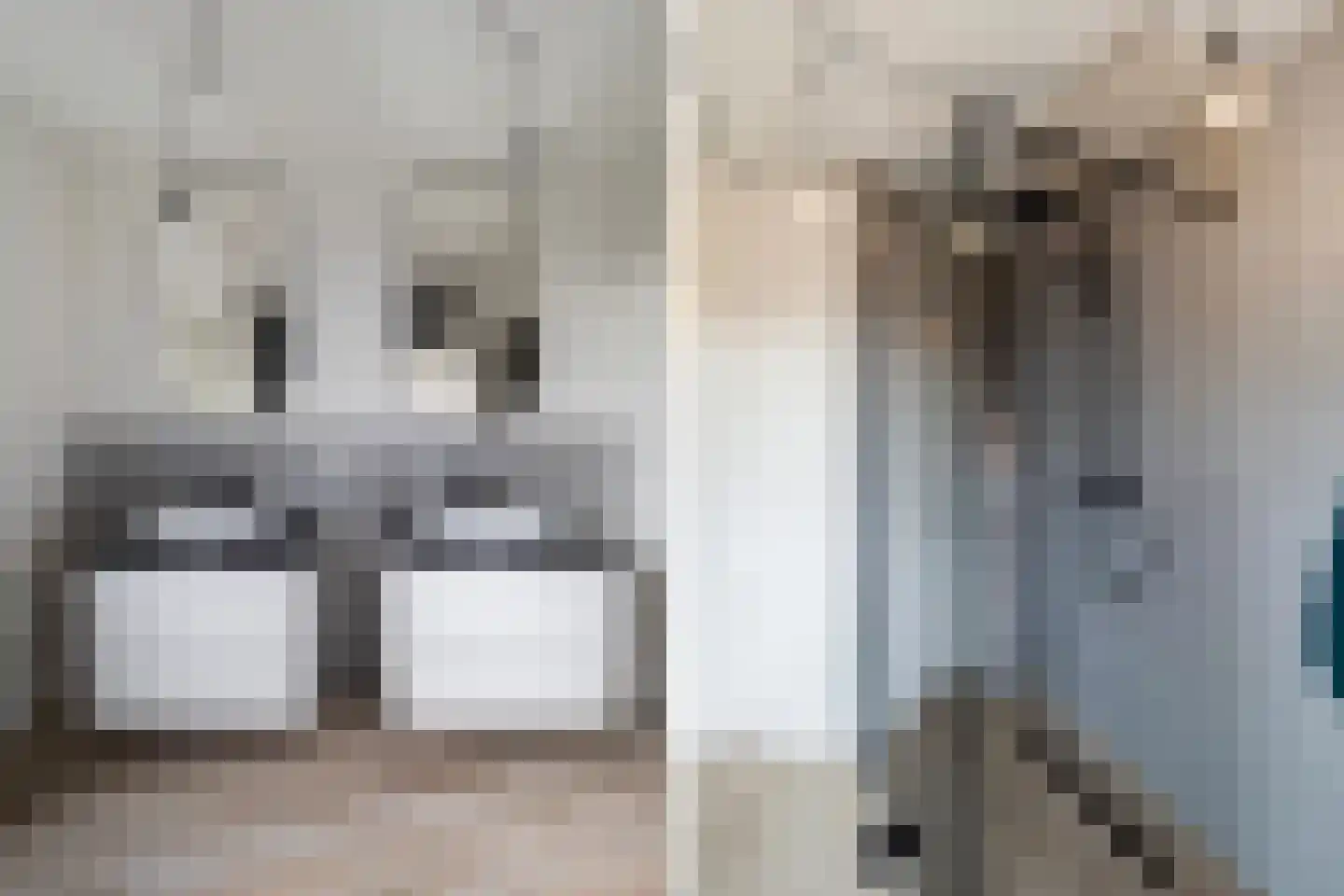 Ooipoort 10 Doesburg thumbnail 14