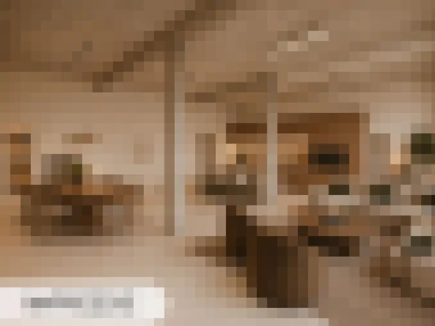 Ooipoort 10 Doesburg thumbnail 4