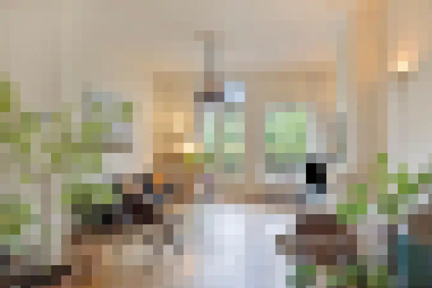 Ooipoort 5 Doesburg thumbnail 10