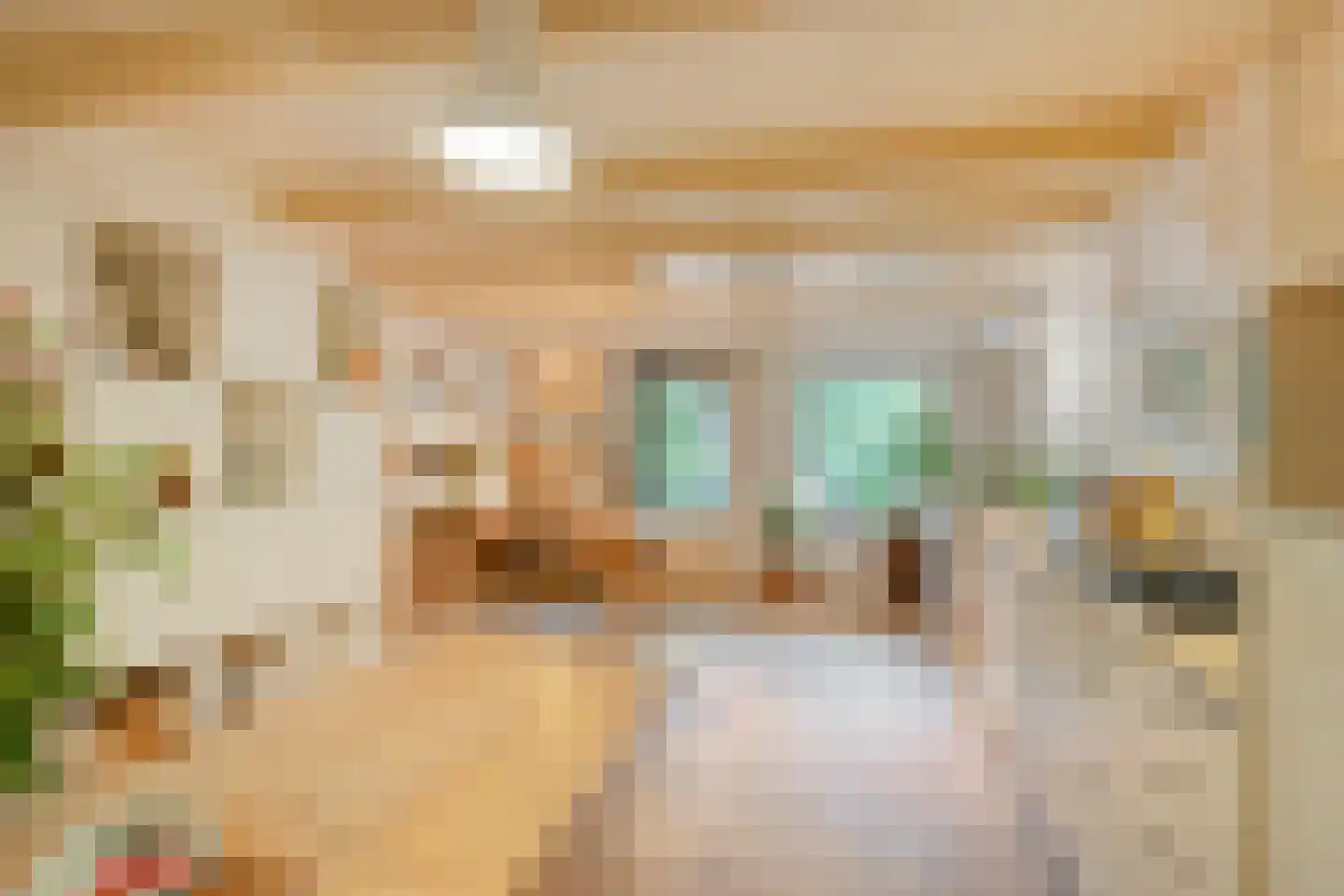 Ooipoort 5 Doesburg thumbnail 23
