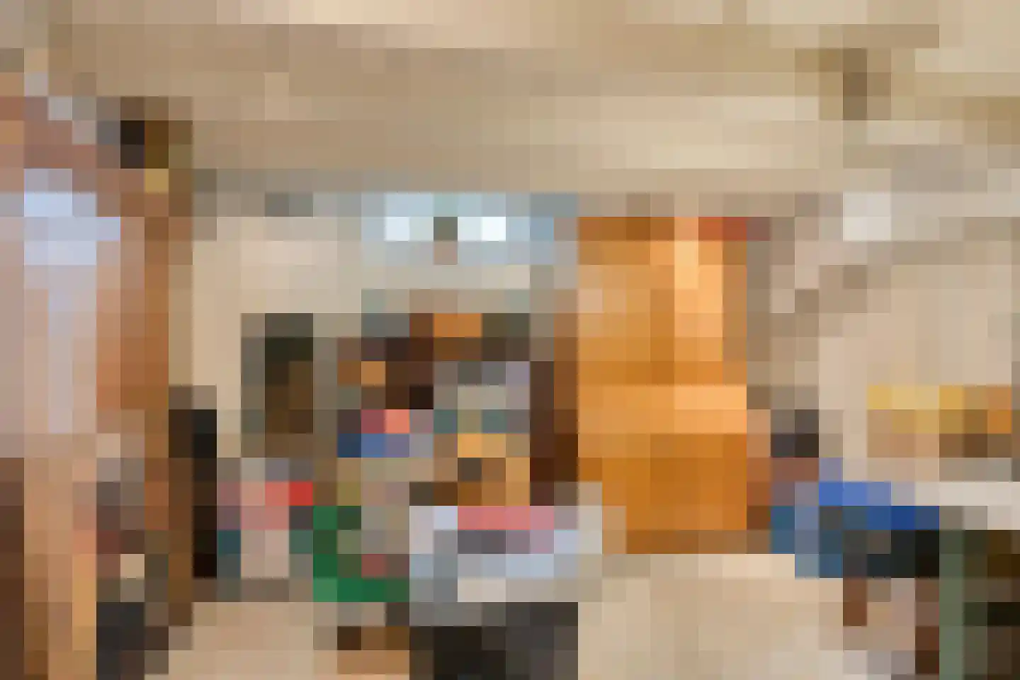 Ooipoort 5 Doesburg thumbnail 28