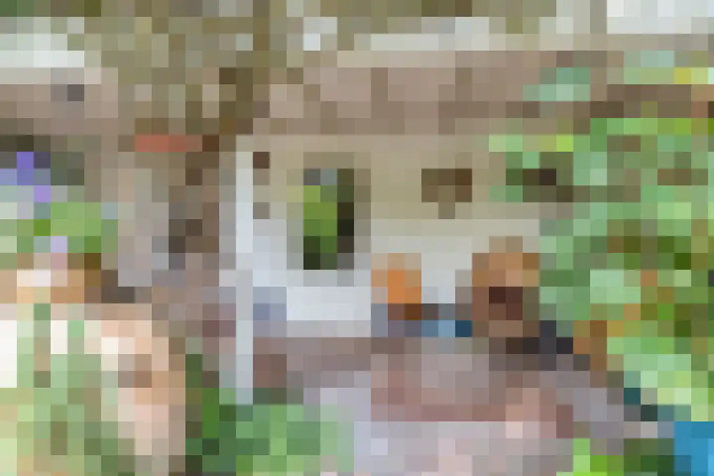 Ooipoort 5 Doesburg thumbnail 41