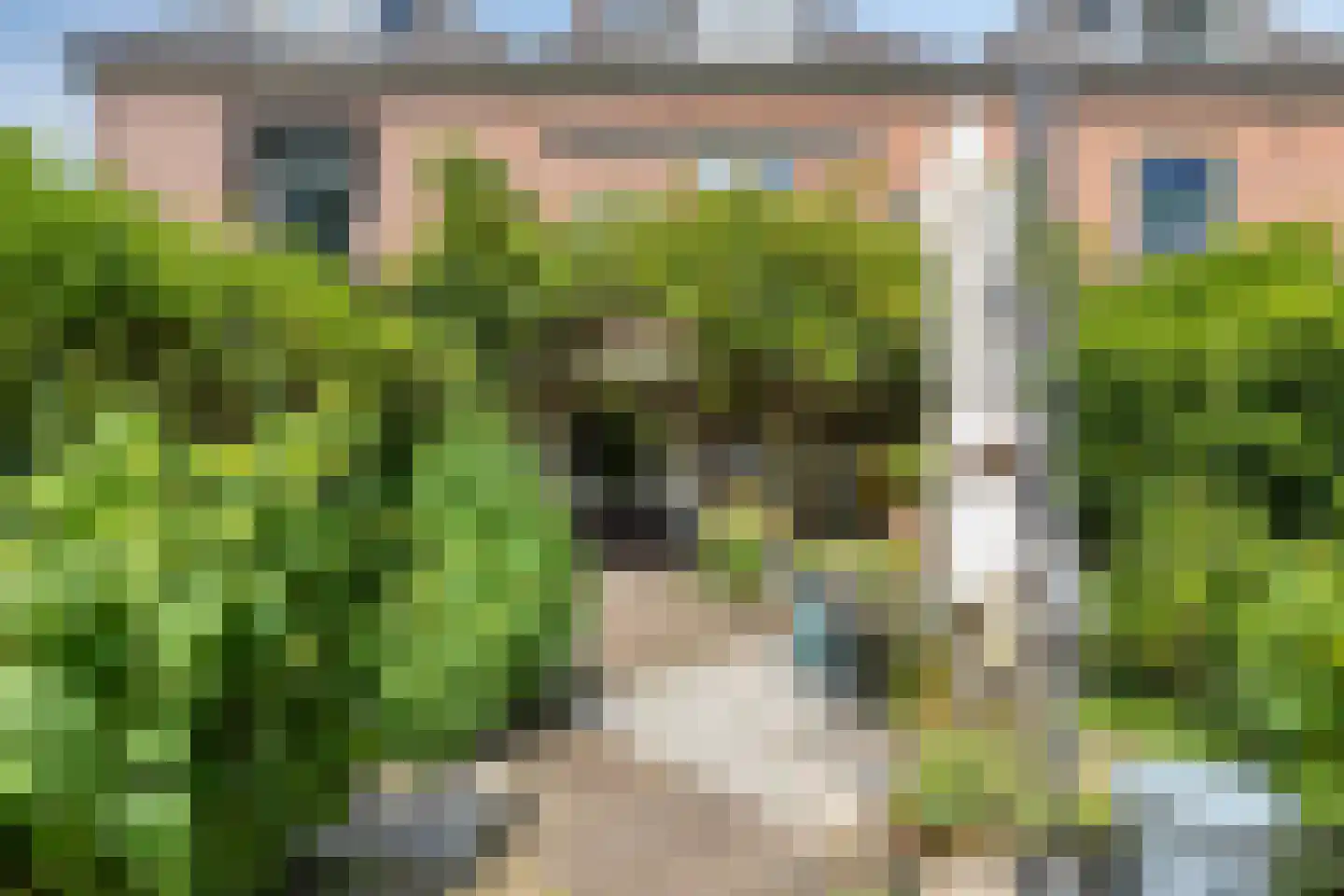 Ooipoort 5 Doesburg thumbnail 42