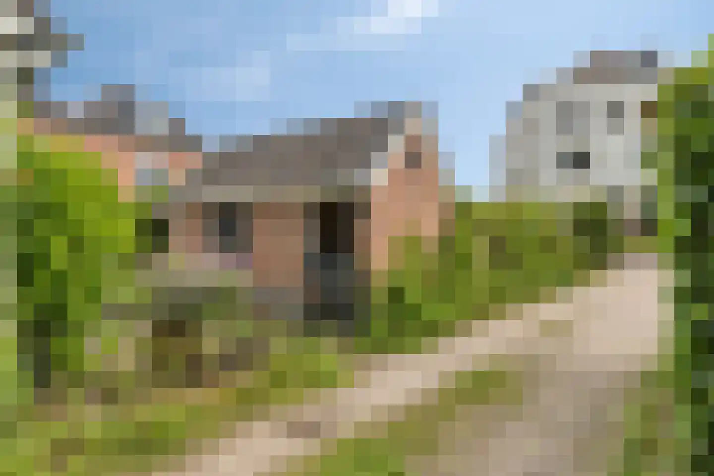 Ooipoort 5 Doesburg thumbnail 44