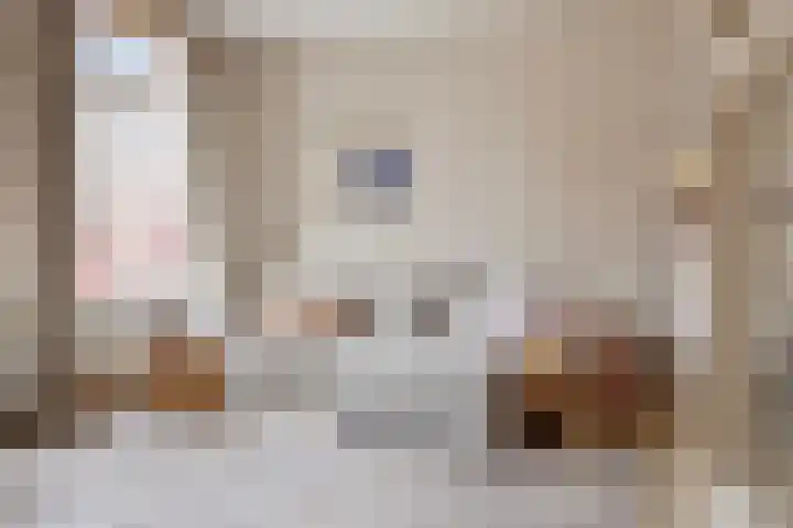 Ooipoort 8 Doesburg thumbnail 11