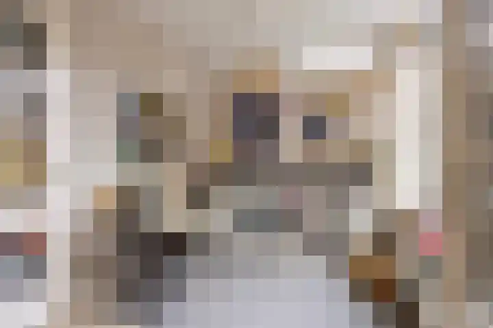 Ooipoort 8 Doesburg thumbnail 22
