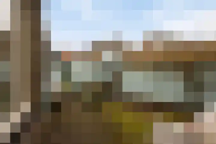 Ooipoort 8 Doesburg thumbnail 30