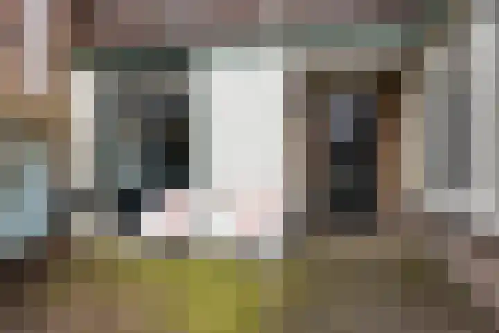 Ooipoort 8 Doesburg thumbnail 34