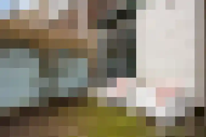 Ooipoort 8 Doesburg thumbnail 36