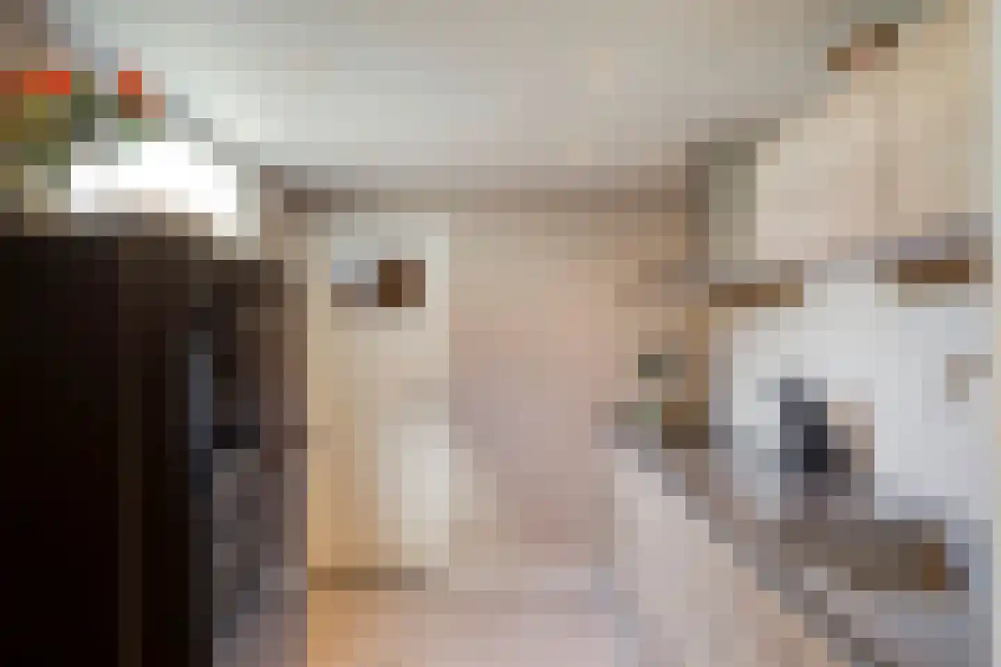 Ooipoortstraat 74 Doesburg thumbnail 22