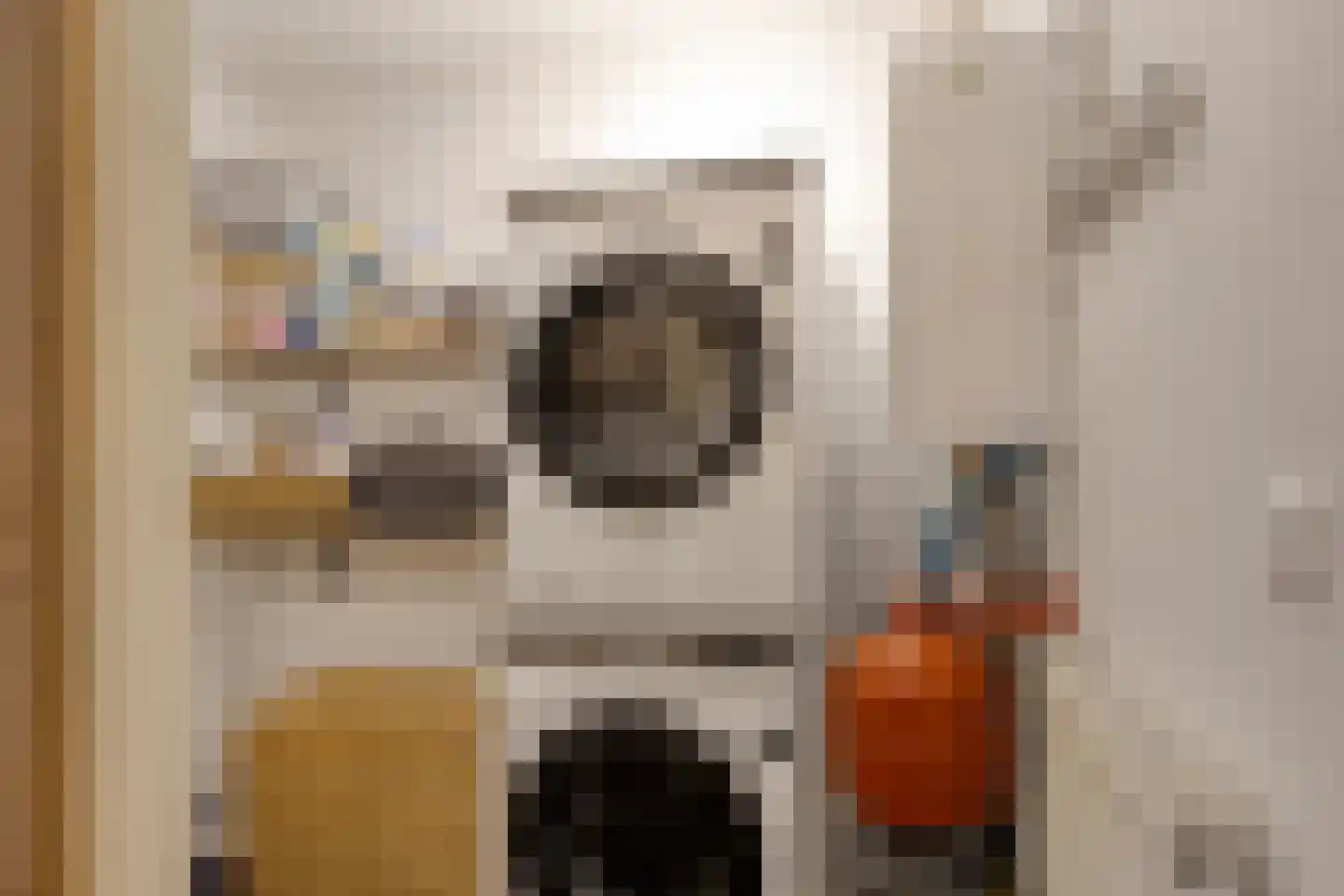 Ooipoortstraat 74 Doesburg thumbnail 32