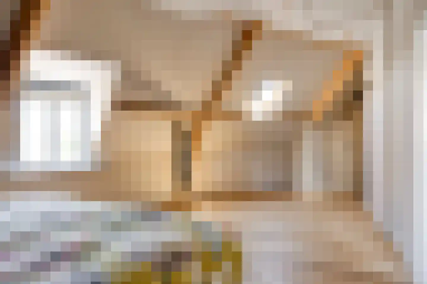 Ooipoortstraat 74 Doesburg thumbnail 34