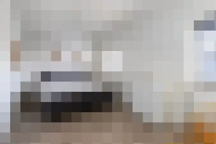 Ooiweg 10 Apeldoorn thumbnail 16