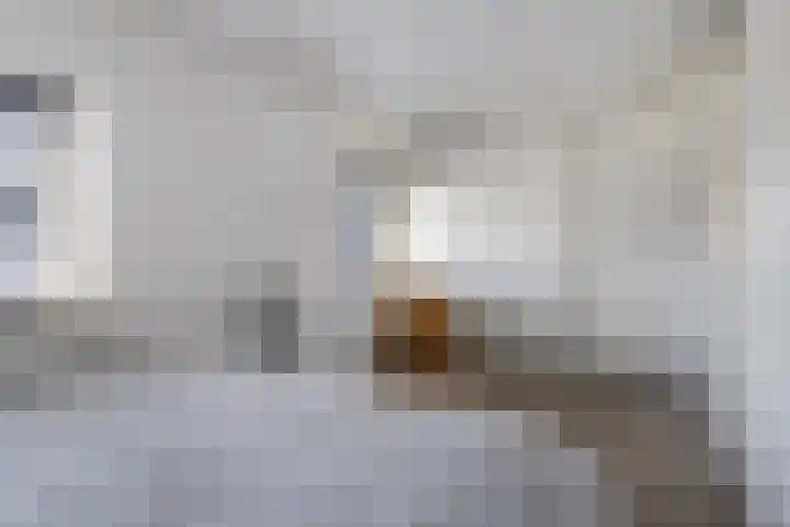 Ooiweg 10 Apeldoorn thumbnail 17