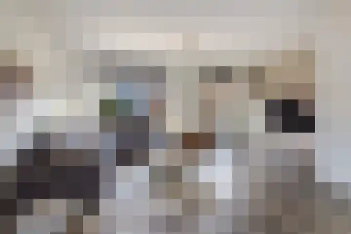 Ooiweg 10 Apeldoorn thumbnail 6