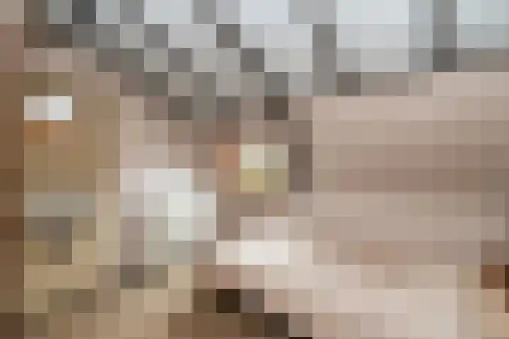 Ooiweg 15 Apeldoorn thumbnail 14