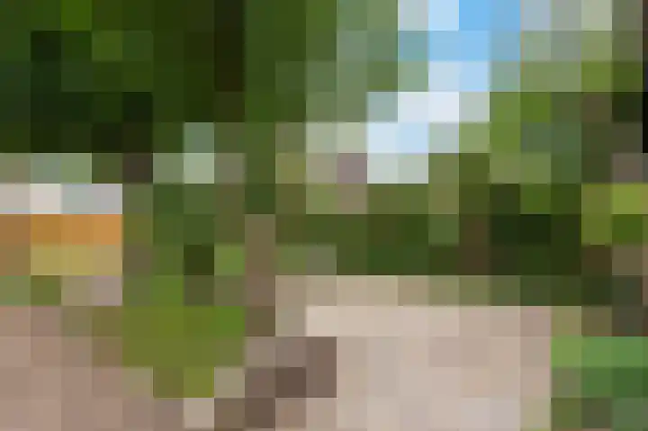 Ooiweg 15 Apeldoorn thumbnail 20