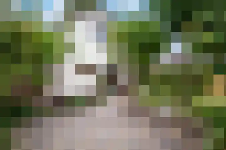 Ooiweg 15 Apeldoorn thumbnail 24